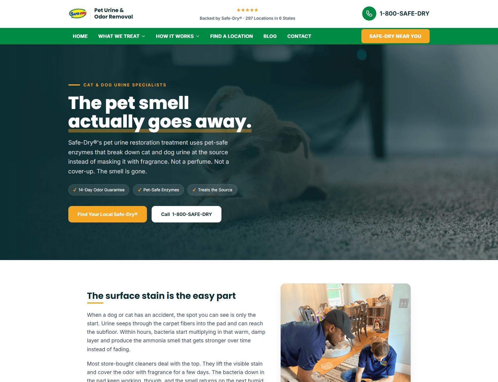 Safe-Dry pet urine and odor removal website built by Crave Media, with a bold hero, trust badges, and clear calls to action
